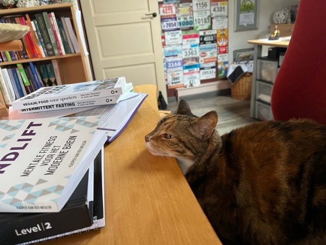 Inspiratie en rustmoment – lees de blogs van Amethist Natuurcoaching