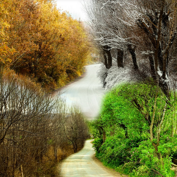 Beeld van de natuur in elk jaargetijde – lente, zomer, herfst en winter als spiegel voor je innerlijke reis