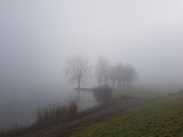 Leer van de herfst om te vertragen, los te laten en te verstillen. 