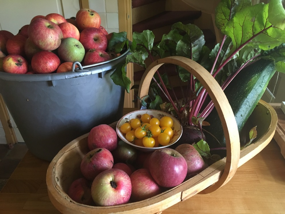 Verse biologische groenten en fruit uit eigen tuin, rijk aan voedingsstoffen